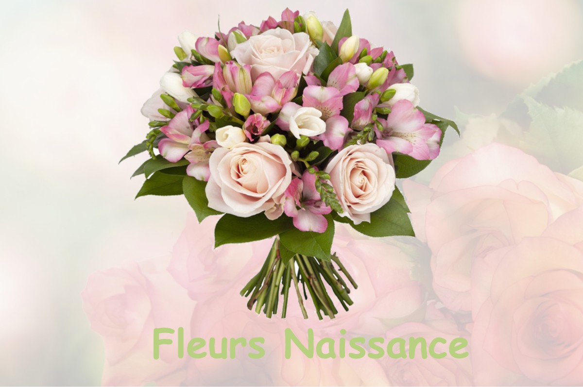 fleurs naissance LA-BASSEE